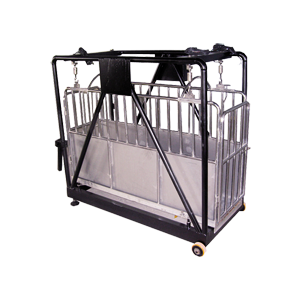 เครื่องชั่งน้ำหนักสัตว์